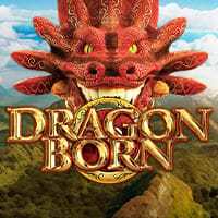 Dragon Born in Sub_Allgames