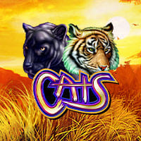 Cats in br_latestreleases