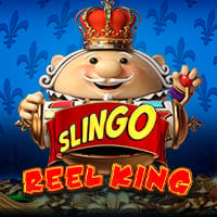 Slingo Reel King in Slingo
