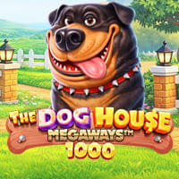 The Dog House Megaways 1000 in Sub_NewgamesBr