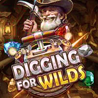 Digging for Wilds in br_latestreleases