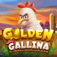 Golden Gallina in Sub_IGTBr