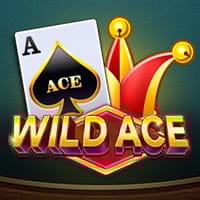 Wild Ace in Sub_Allgames