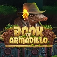 Book of Armadillo in Sub_Allgames